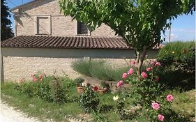 All'Ombra Degli Ulivi B&B